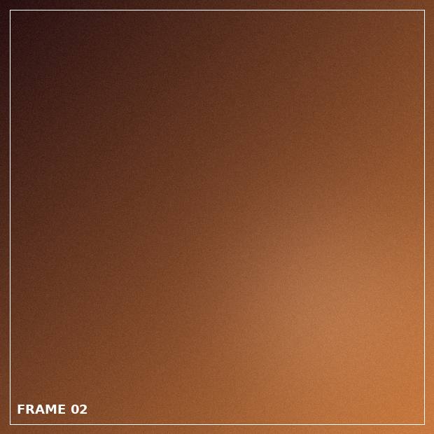 Sample frame 2