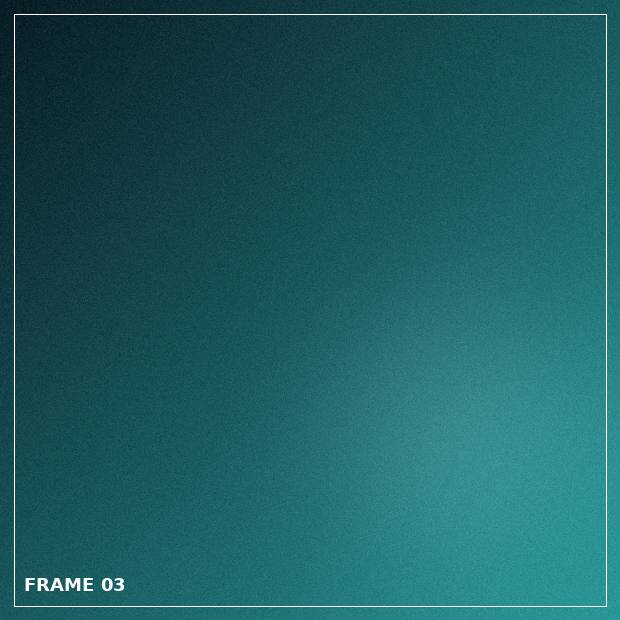Sample frame 3