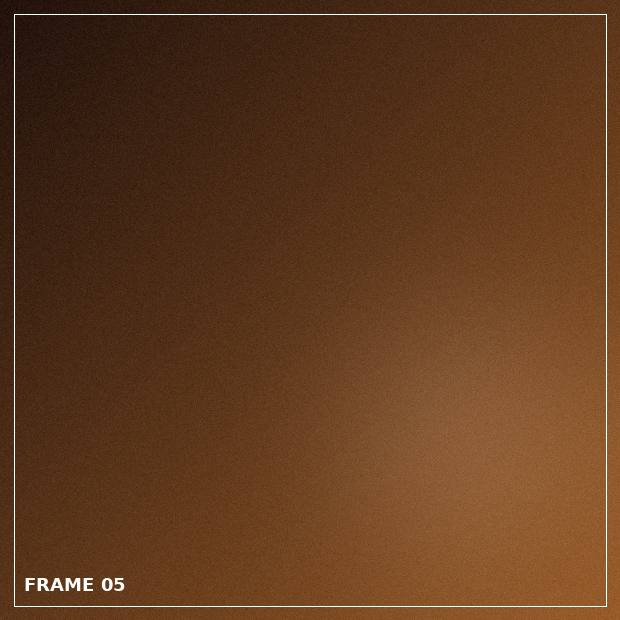 Sample frame 5